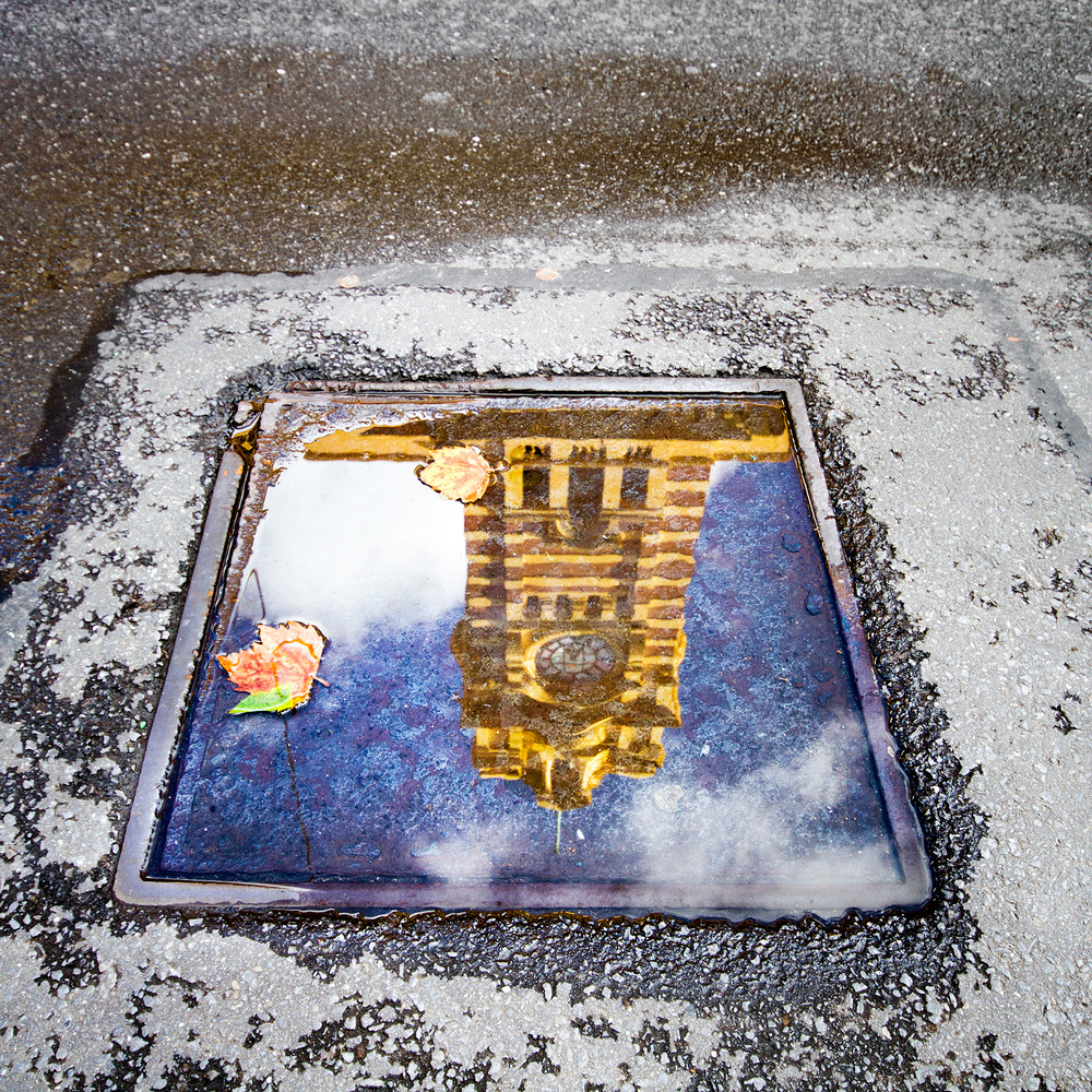 Every puddle tells a story