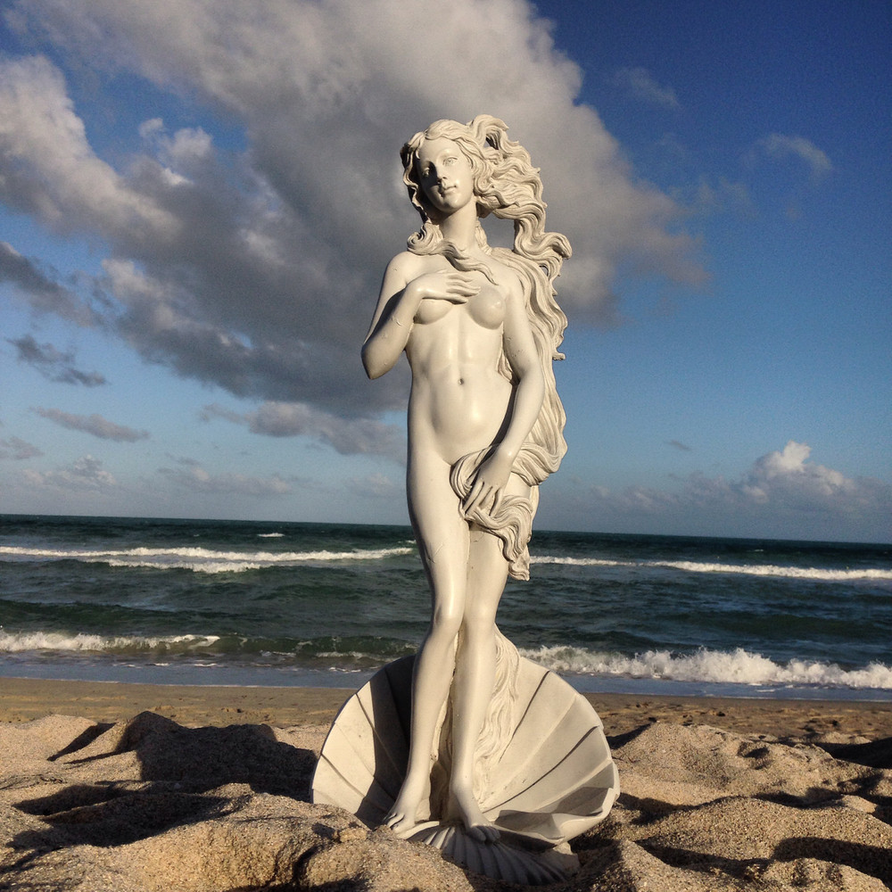 THE VENUS PROJECT