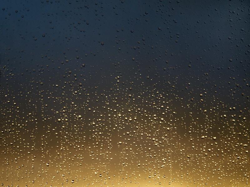 views from my window - digital