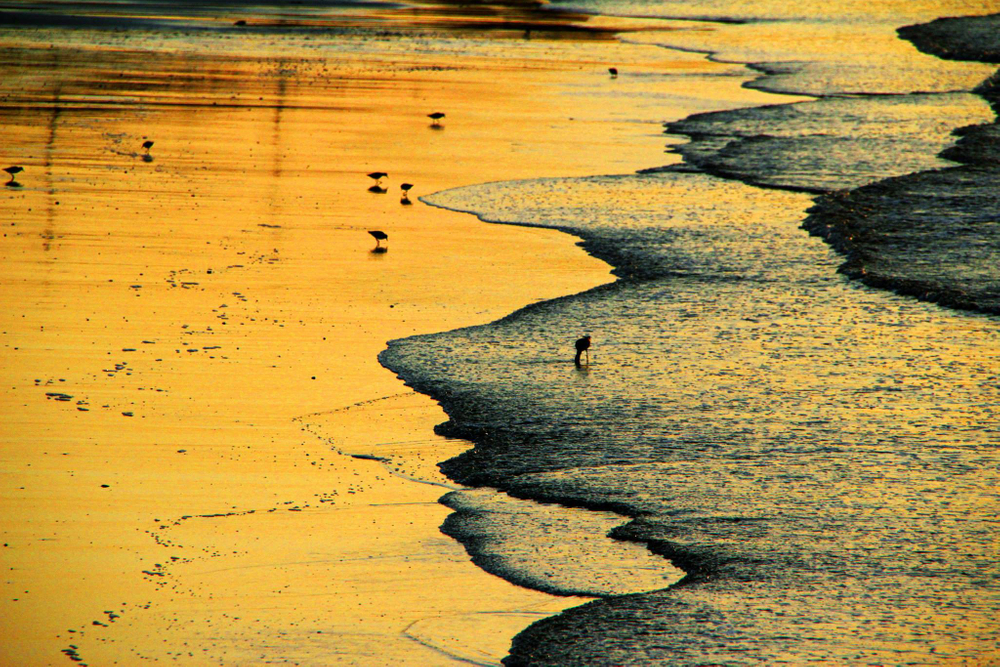 Landscapes in sunset
