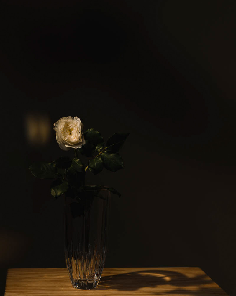 An Allegorical Dream