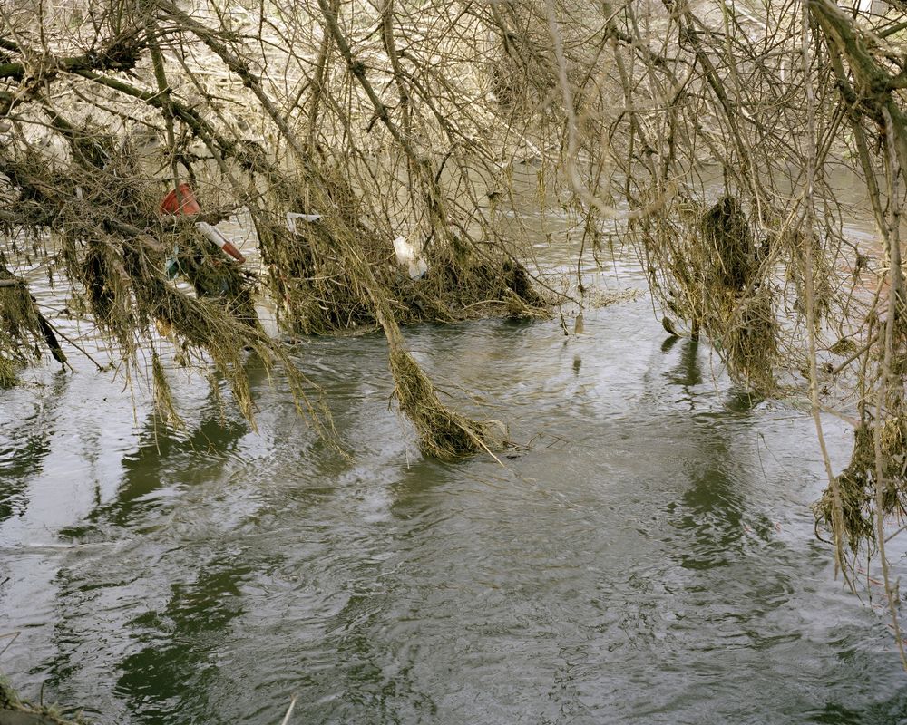 Along the River Lea