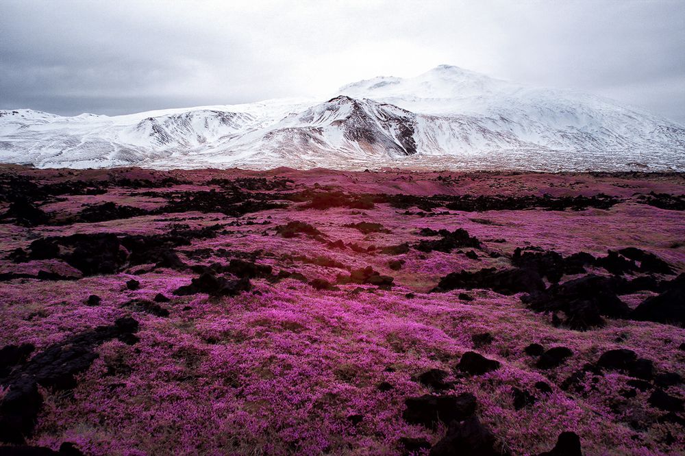 Iceland