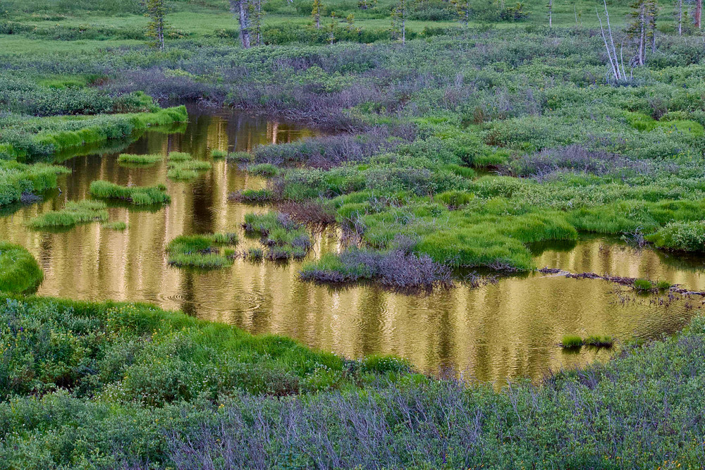 COLORADO