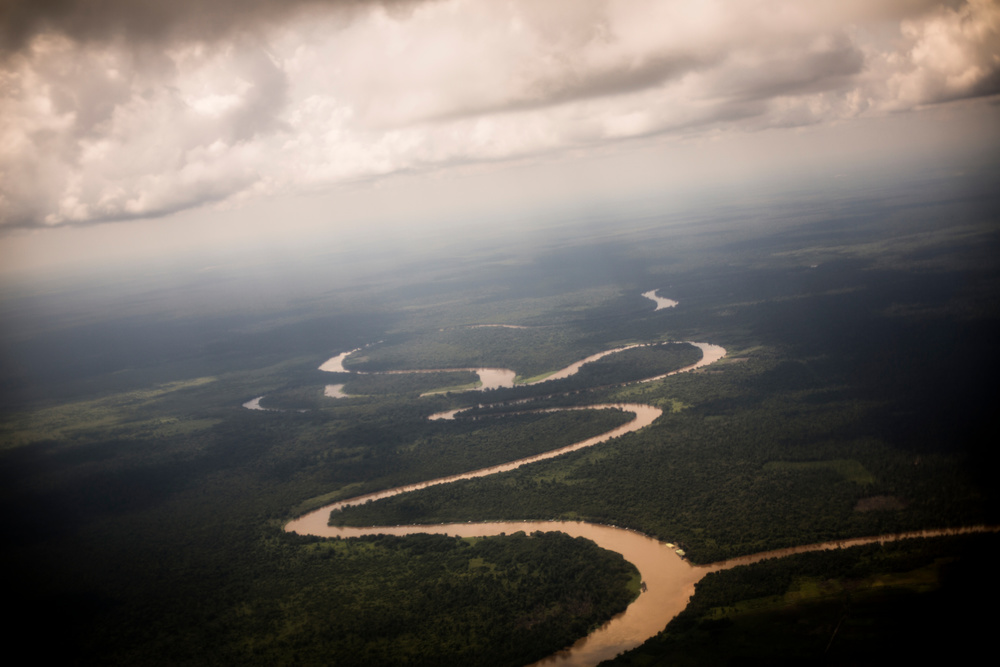 Borneo, the devasted jewel