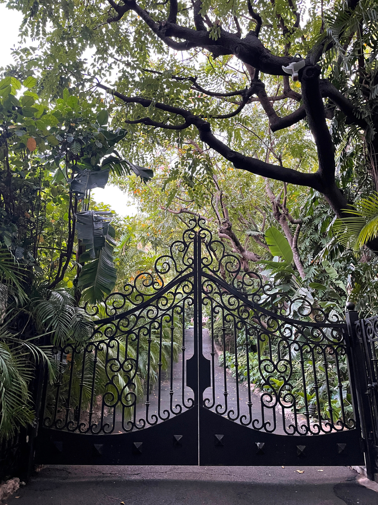 Observations on Oahu - 6.21