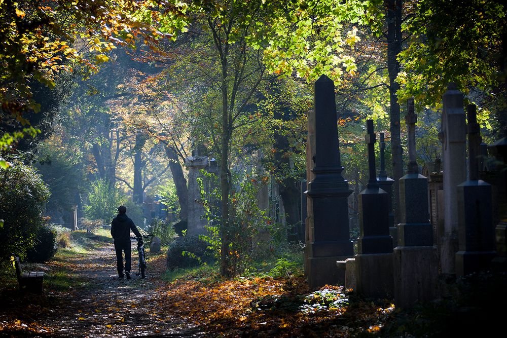 A Sunday Walk