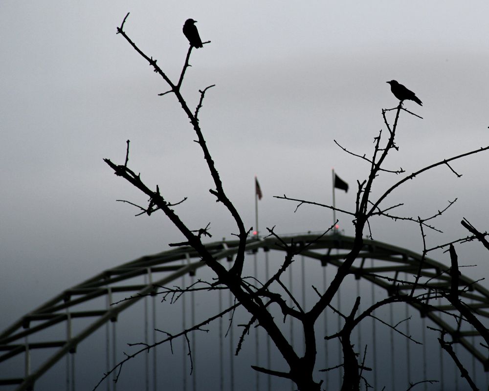 PDX 