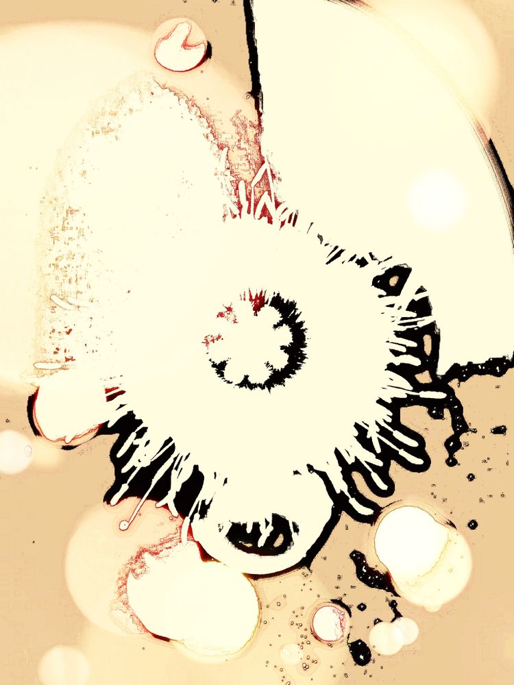 METAMORPHOSES