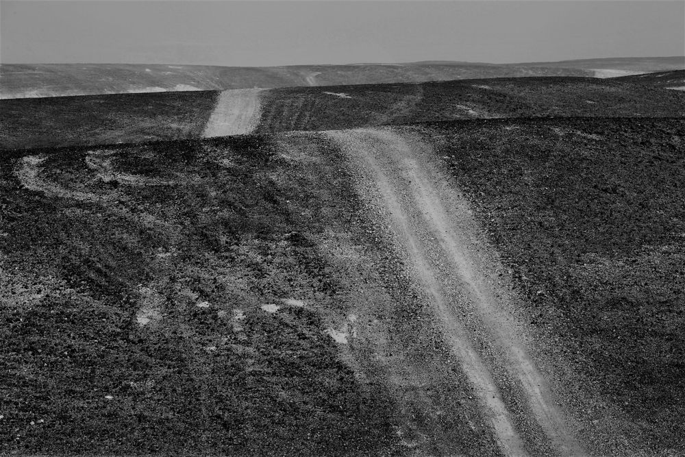 Negev Desert