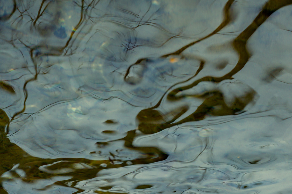 A dive into the unconscious