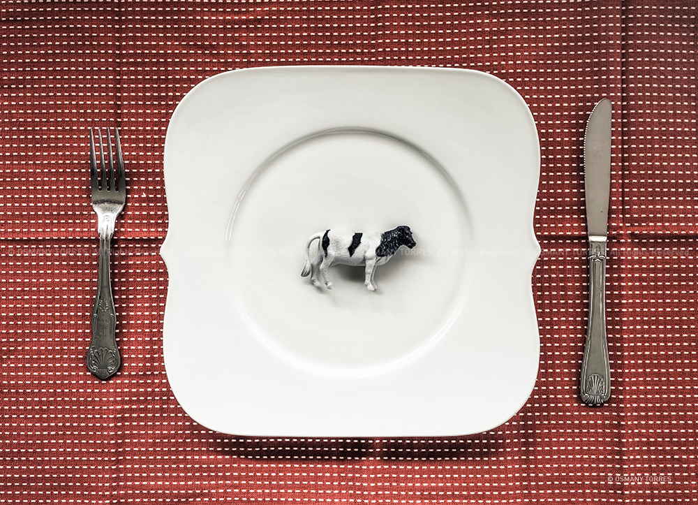 Plastic Food