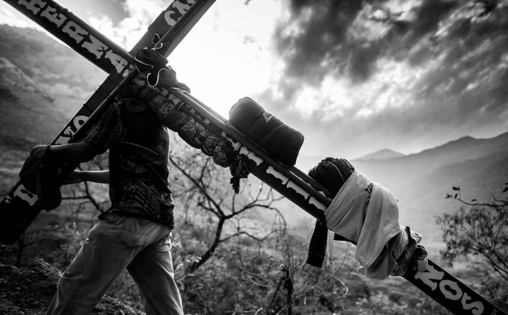 LensCulture Editor Review