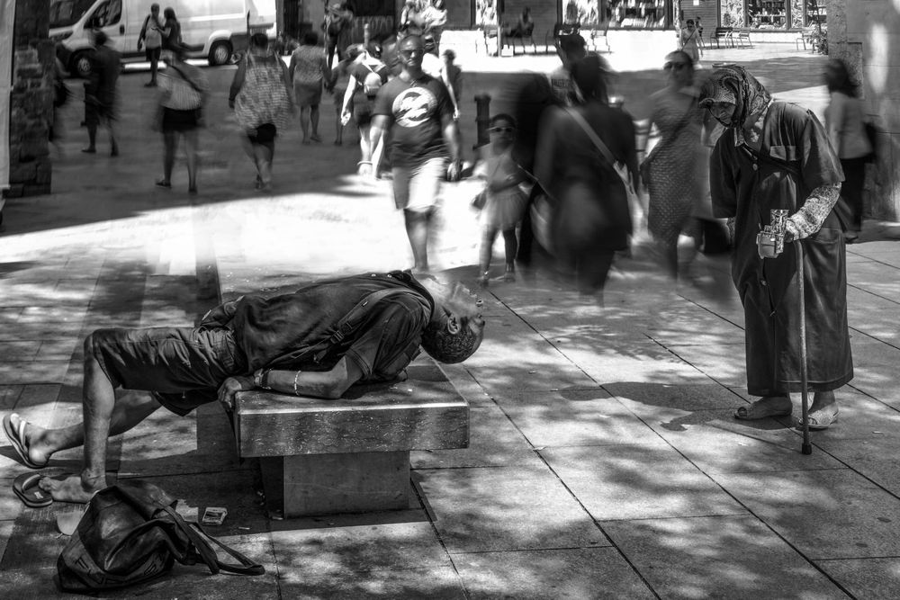 Submitted photographs 