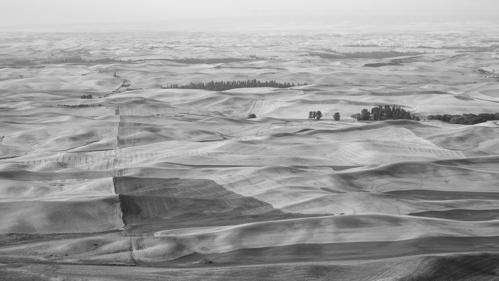 Western Countryside