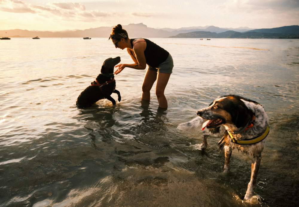 Misc