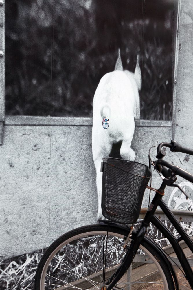 Photography as Art