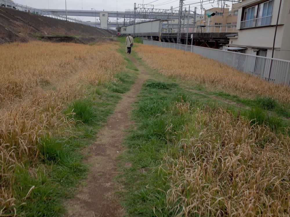 5. Tokyo: Houses of Hope in the Low City (38 photos)