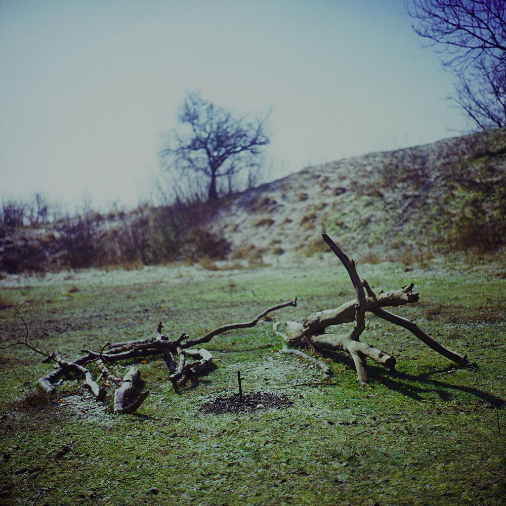 In the Darkless