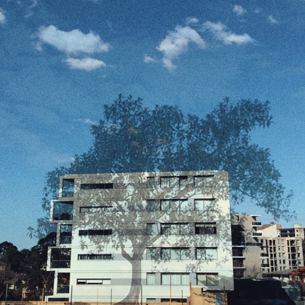 Imagining What Was - Work in Progress