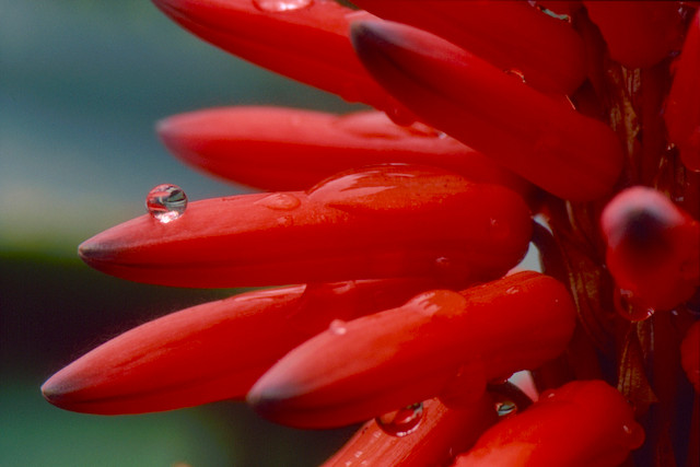 Images of the Intimate Landscape