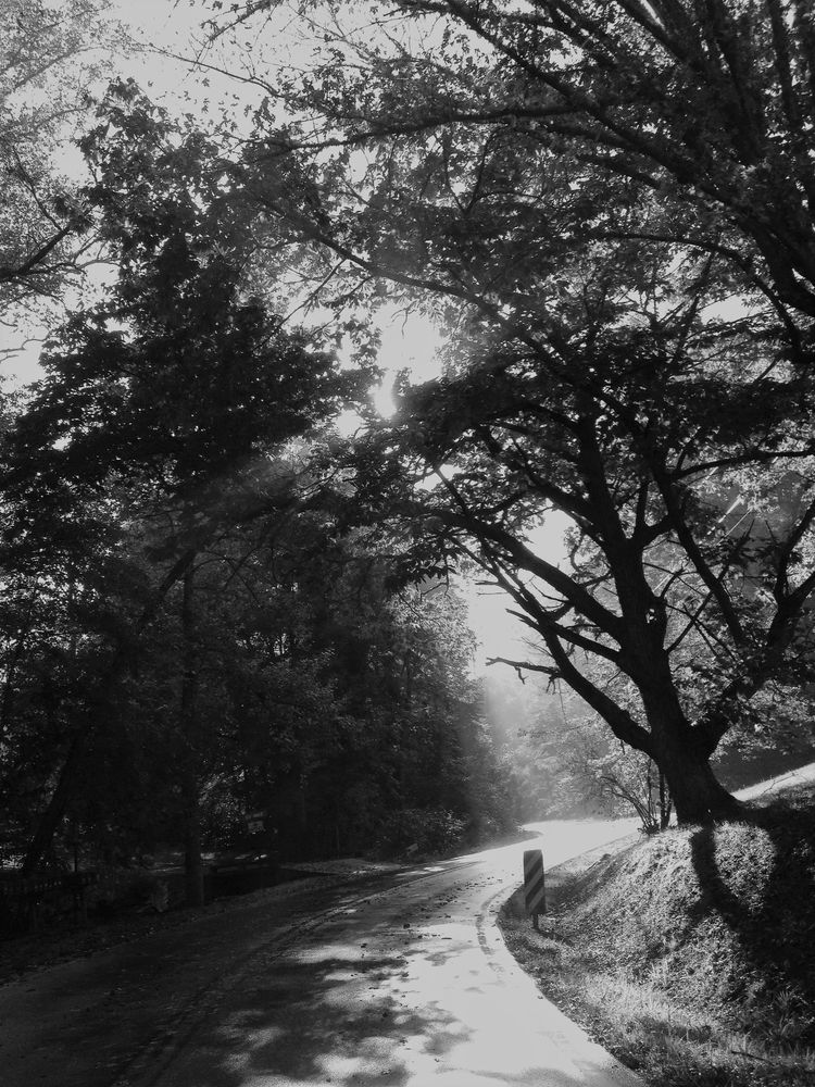 Healing Spirit Art - Visions in Black and White