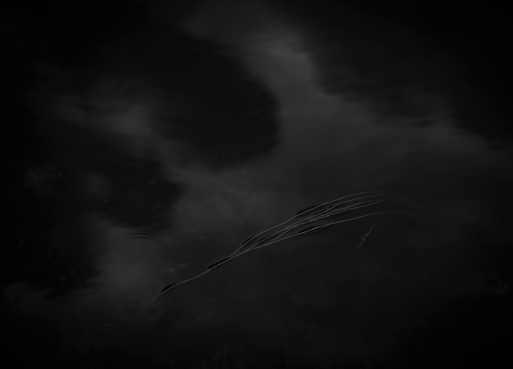 Silent Rooms