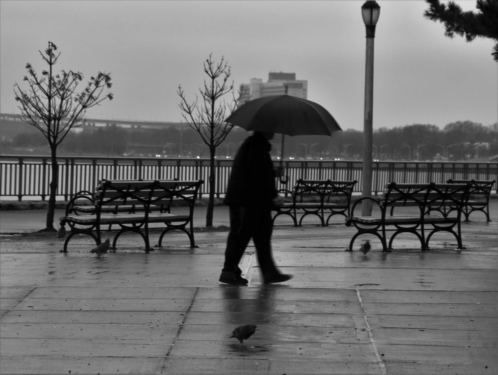 Traces of life