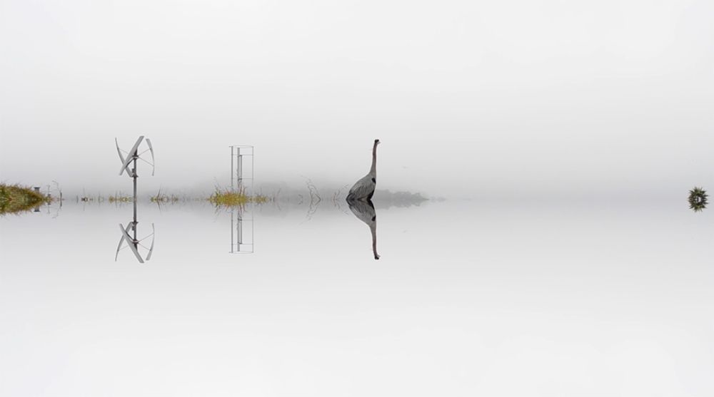 Fog. And the Whole World Stops.