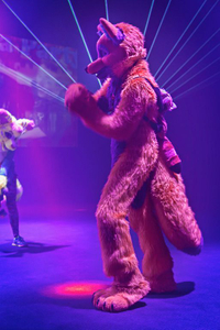 Foxy, Anthrocon, 2014 © Arthur Drooker