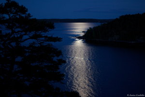 J'adore