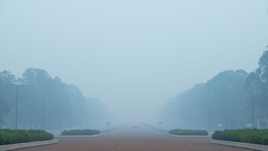 Commonwealth Avenue - ACT