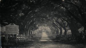 Oak Alley Plantation