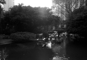 "Kowloon Park Hong Kong"