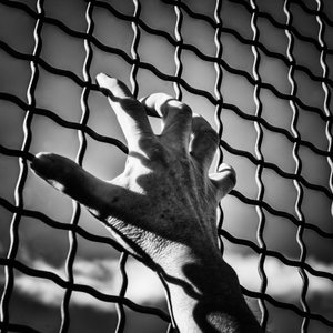 prisons