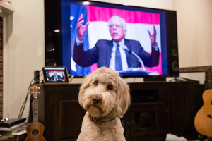 Feel The Bern