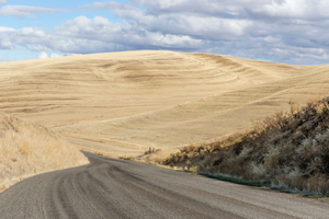 Palouse, WA. Study #47                         (46 47.1689N - 117 31.0581W)