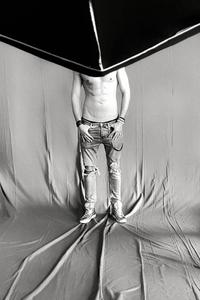 The model