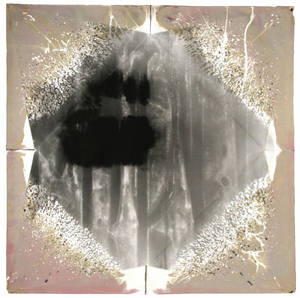 Paper Camera, Large_05, Gelatin Silver, 2012 © Ross Faircloth