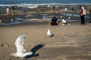Lincoln City