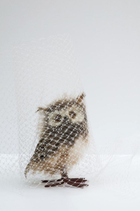 Regret #7 © Astrid Reischwitz