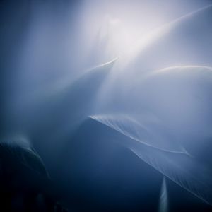 Evergreen-18.jpg
