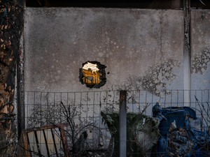 Getty Fire - Zack House, 2019