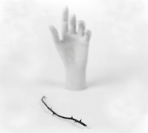 Fears