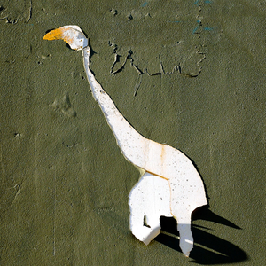 white heron