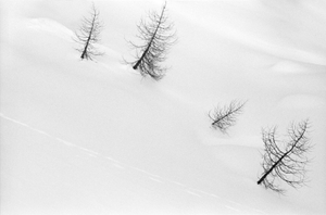 Nel Bianco