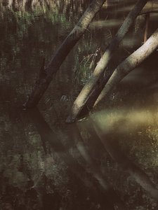 Into the marsh - 32