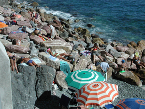 Monterosso seals