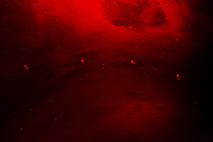 Other Worlds