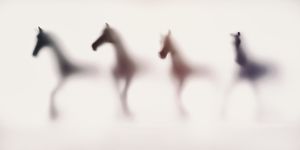 Wild-blur-horses-04.jpg